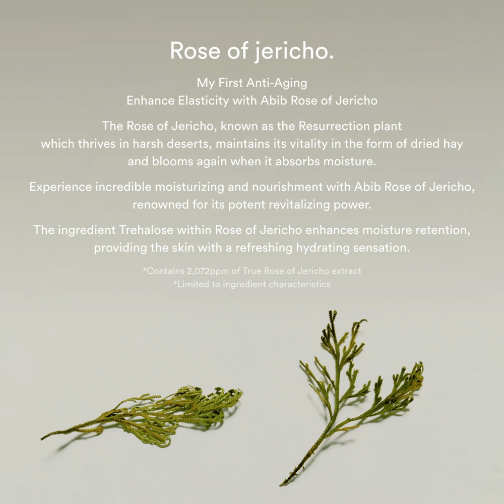 Tietokuva Rose of Jericho -uutteesta, joka kuvailee kasvin kosteuttavia ja elvyttäviä ominaisuuksia iholle.