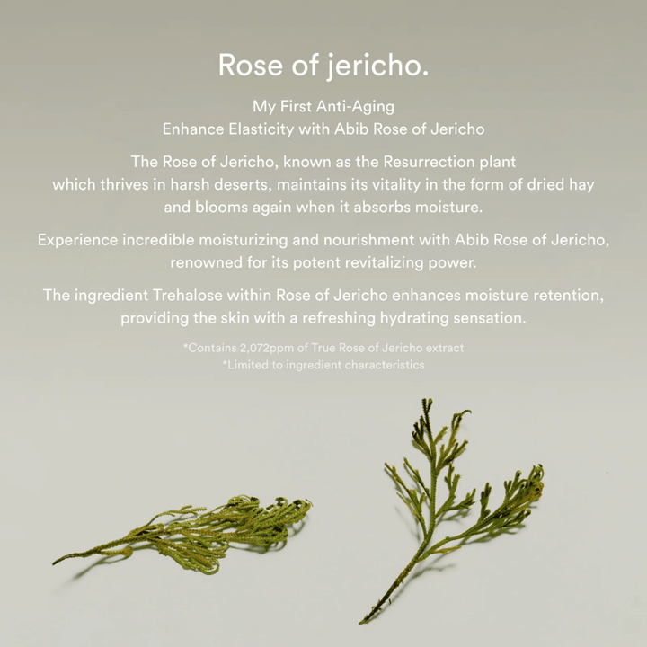 Tietokuva Rose of Jericho -uutteesta, joka kuvailee kasvin kosteuttavia ja elvyttäviä ominaisuuksia iholle.