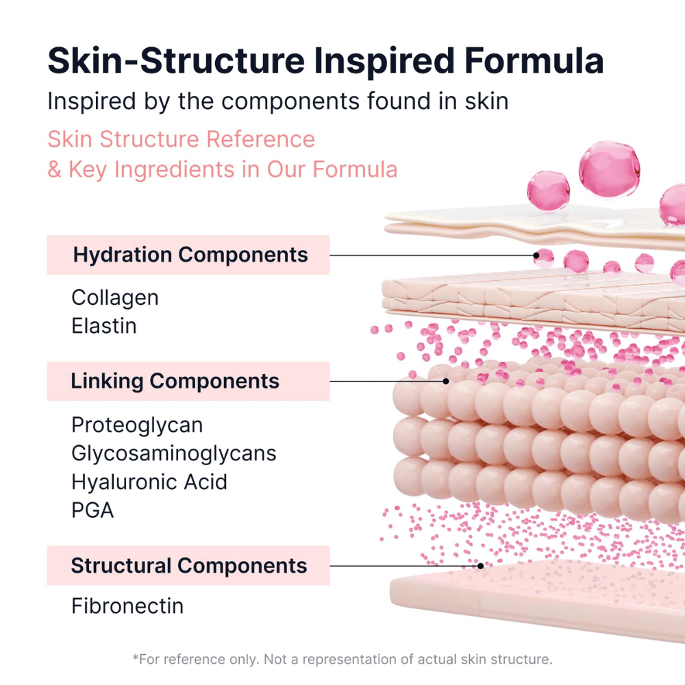 2. SUNGBOON EDITOR PDRN Pink Vitamin Glow Boosting Ampoule – kuvitus ihon rakenteesta, jossa on kollageenia, elastiinia, hyaluronihappoa ja muita ihoa hoitavia ainesosia